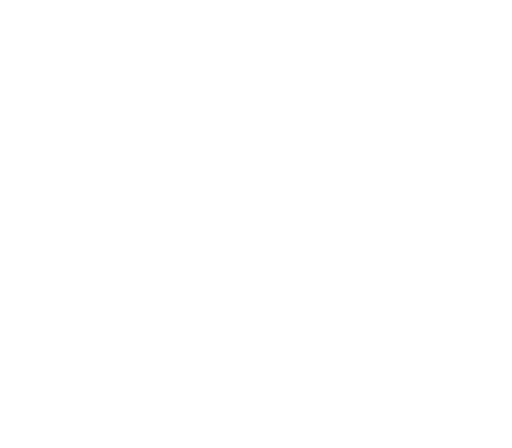 Wisdom Teeth